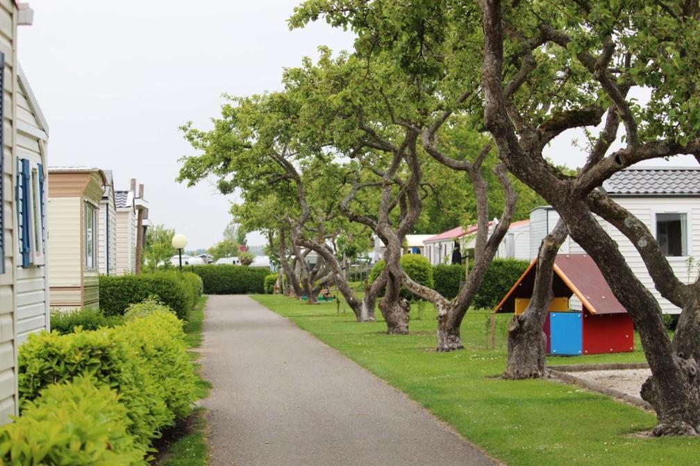 Siblu Camping In De Bongerd 东卡佩勒 外观 照片